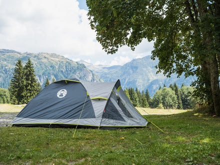 Coleman Darwin 4+