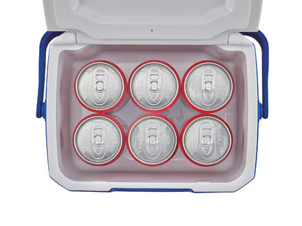 Colemn Performance 5QT Personal Cooler