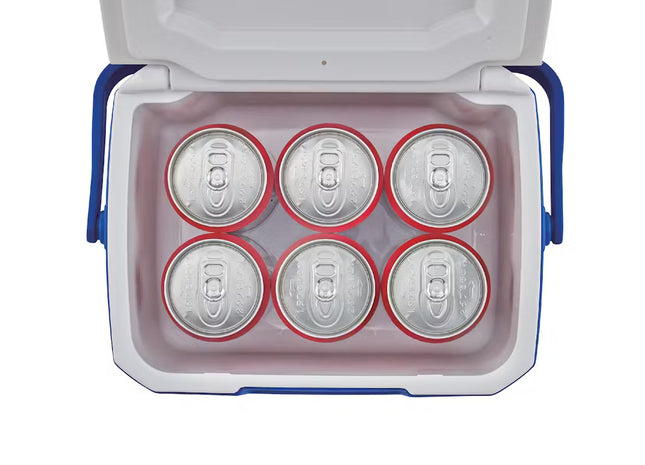 Colemn Performance 5QT Personal Cooler