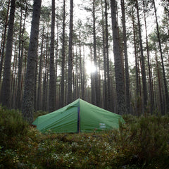 Green tent in a forest with tall trees and sunlight filtering through.