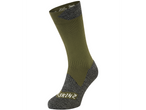 Olive / S