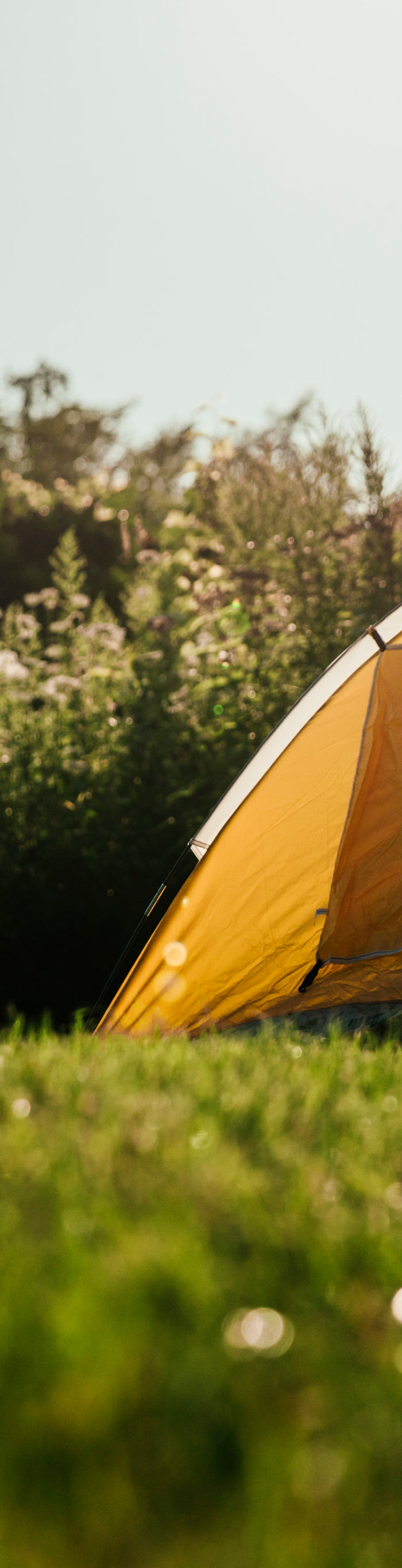<h1>Family-Sized Tunnel Tent</h1>